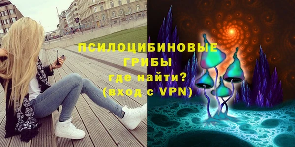 ГАЛЛЮЦИНОГЕННЫЕ ГРИБЫ Сосновоборск