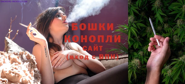 спиды Бронницы
