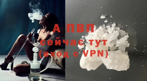 стафф Бородино