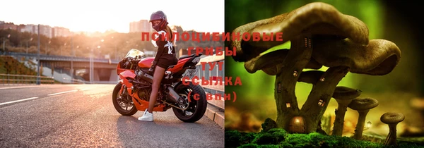 MDMA Premium VHQ Богородск