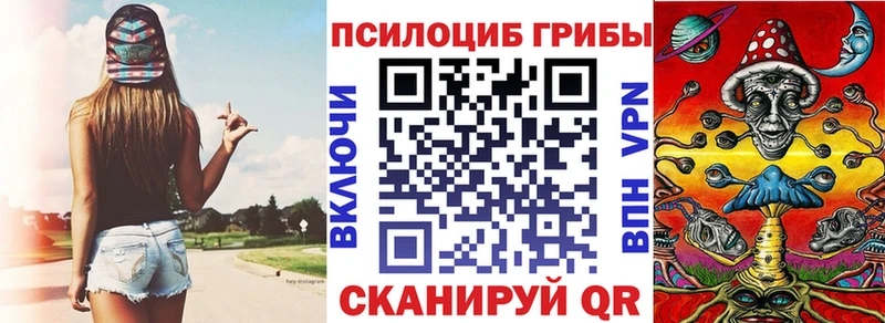 закладка  Гусев  Псилоцибиновые грибы Magic Shrooms 